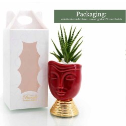 Vasetto Viso con Piantina Grassa - Design Unico e Regalo Perfetto