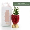 Vasetto Viso con Piantina Grassa - Design Unico e Regalo Perfetto