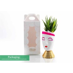 Vasetto Viso con Piantina Grassa - Design Unico e Regalo Perfetto