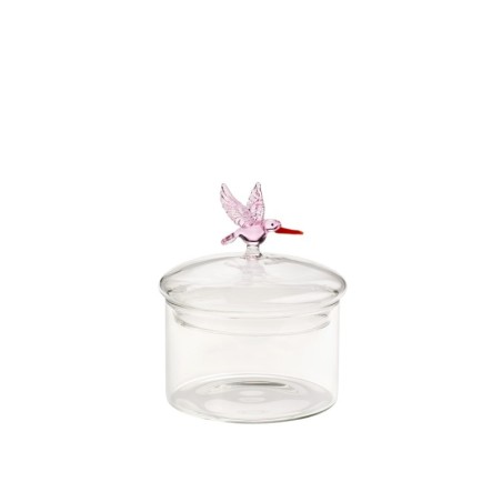 Contenitore Colibrì NATURE: Stile e Funzionalità per la Tua Cucina