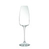 Set 6 Alizé Calici Flute: Eleganza per la tua casa