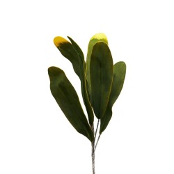 Foglie Di Banano H.140 Flowers