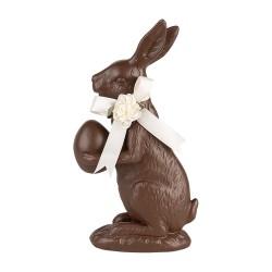 Chocolate Coniglio con un uovo 11x5x20 cm