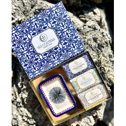 Box Blu Vivace & Inebriante