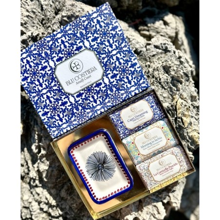 Box Blu Vivace & Inebriante