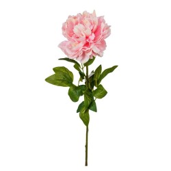 Peonia Rosa con Ramo Real Touch H.72CM