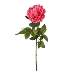 Peonia Fucsia con Ramo Real Touch H.72CM