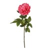 Peonia Fucsia con Ramo Real Touch H.72CM