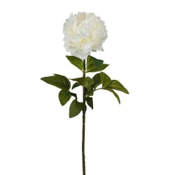 Peonia Bianca con Ramo Real Touch H.72CM