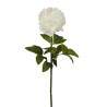 Peonia Bianca con Ramo Real Touch H.72CM