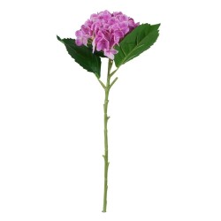 Ortensia Viola Real Touch con Ramo 50cm
REAL TOUCH