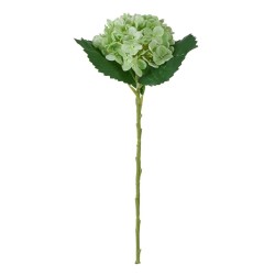 Ortensia Verde Real Touch con Ramo 50cm
REAL TOUCH