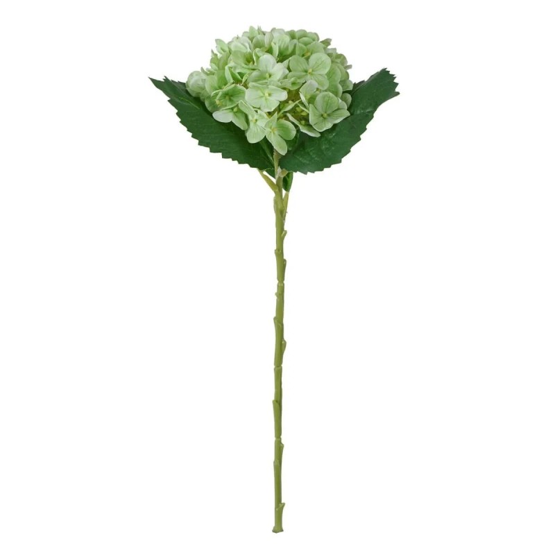 Ortensia Verde Real Touch con Ramo 50cm
REAL TOUCH