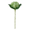 Ortensia Verde Real Touch con Ramo 50cm
REAL TOUCH