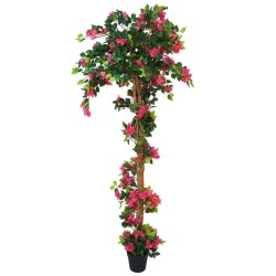Bougainvillea H.240cm Fiori Fucsia E 
Tronco Naturale, Vaso Plastica 
Nero