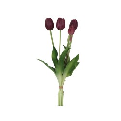 Fascio 5 Tulipani Viola H39cm