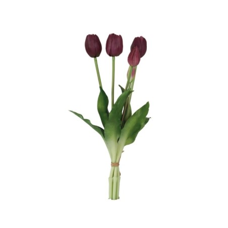 Fascio 5 Tulipani Viola H39cm