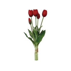 Fascio 5 Tulipani Rossi H39cm