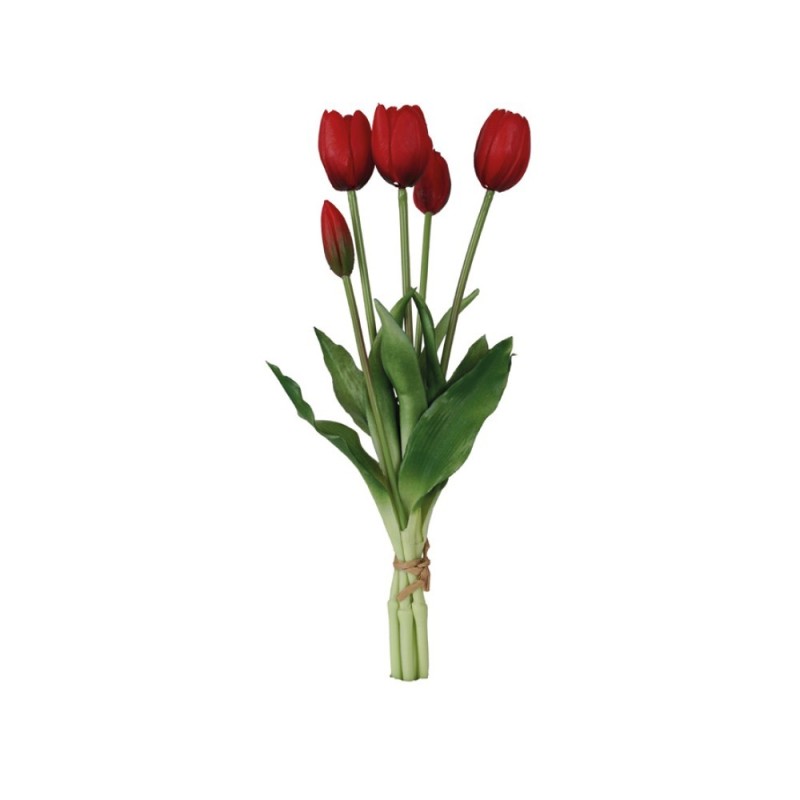 Fascio 5 Tulipani Rossi H39cm