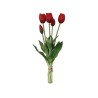 Fascio 5 Tulipani Rossi H39cm