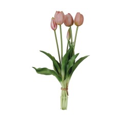 Fascio 5 Tulipani Rosa H39cm