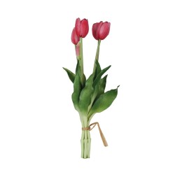 Fascio 5 Tulipani Fucsia H39cm