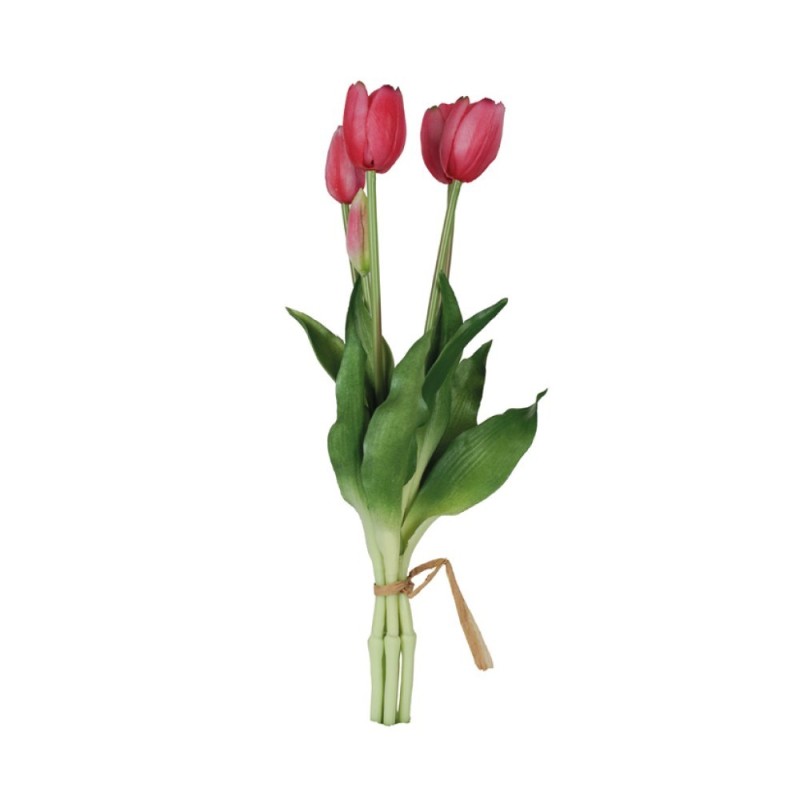 Fascio 5 Tulipani Fucsia H39cm
