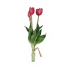 Fascio 5 Tulipani Fucsia H39cm