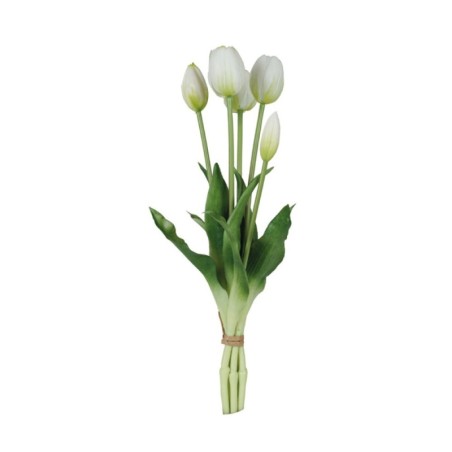 Fascio 5 Tulipani Bianchi H39cm