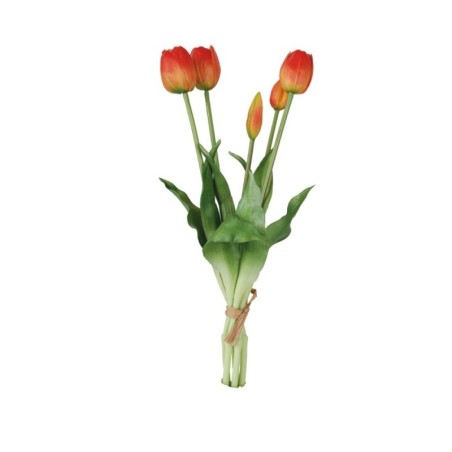 Fascio 5 Tulipani Arancio H39cm