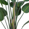 Strelitzia H.180cm Tronco Naturale, Vaso Plastica Nero C.Cemento Strelitzia H.180cm Tronco Naturale, Vaso Plastica Nero C.Cemento