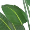 Strelitzia H.180cm Tronco Naturale, Vaso Plastica Nero C.Cemento