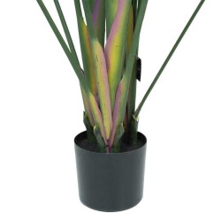 Strelitzia H.180cm Tronco Naturale, Vaso Plastica Nero C.Cemento