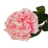 Peonia Rosa con Ramo Real Touch H.72CM