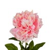 Peonia Rosa con Ramo Real Touch H.72CM