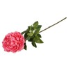 Peonia Fucsia con Ramo Real Touch H.72CM