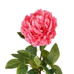 Peonia Fucsia con Ramo Real Touch H.72CM
