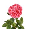 Peonia Fucsia con Ramo Real Touch H.72CM