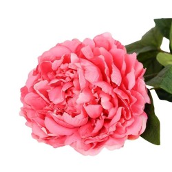 Peonia Fucsia con Ramo Real Touch H.72CM