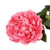 Peonia Fucsia con Ramo Real Touch H.72CM