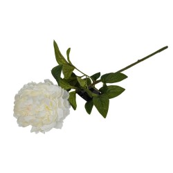 Peonia Bianca con Ramo Real Touch H.72CM