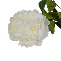 Peonia Bianca con Ramo Real Touch H.72CM