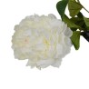 Peonia Bianca con Ramo Real Touch H.72CM