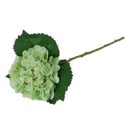 Ortensia Verde Real Touch con Ramo 50cm
REAL TOUCH