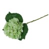 Ortensia Verde Real Touch con Ramo 50cm
REAL TOUCH