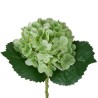 Ortensia Verde Real Touch con Ramo 50cm
REAL TOUCH