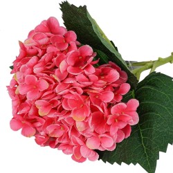 Ortensia Fucsia Rel Touch con Ramo 72cm