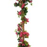 Bougainvillea H.240cm Fiori Fucsia E 
Tronco Naturale, Vaso Plastica 
Nero