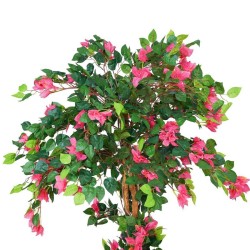 Bougainvillea H.240cm Fiori Fucsia E 
Tronco Naturale, Vaso Plastica 
Nero