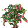 Bougainvillea H.240cm Fiori Fucsia E 
Tronco Naturale, Vaso Plastica 
Nero